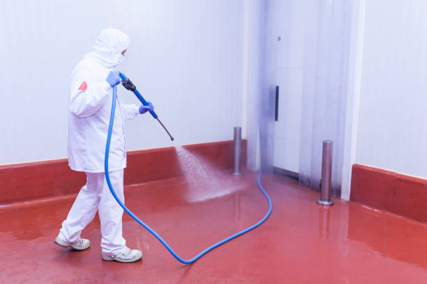 Professional Pressure Washing Services in Tunkhannock, PA